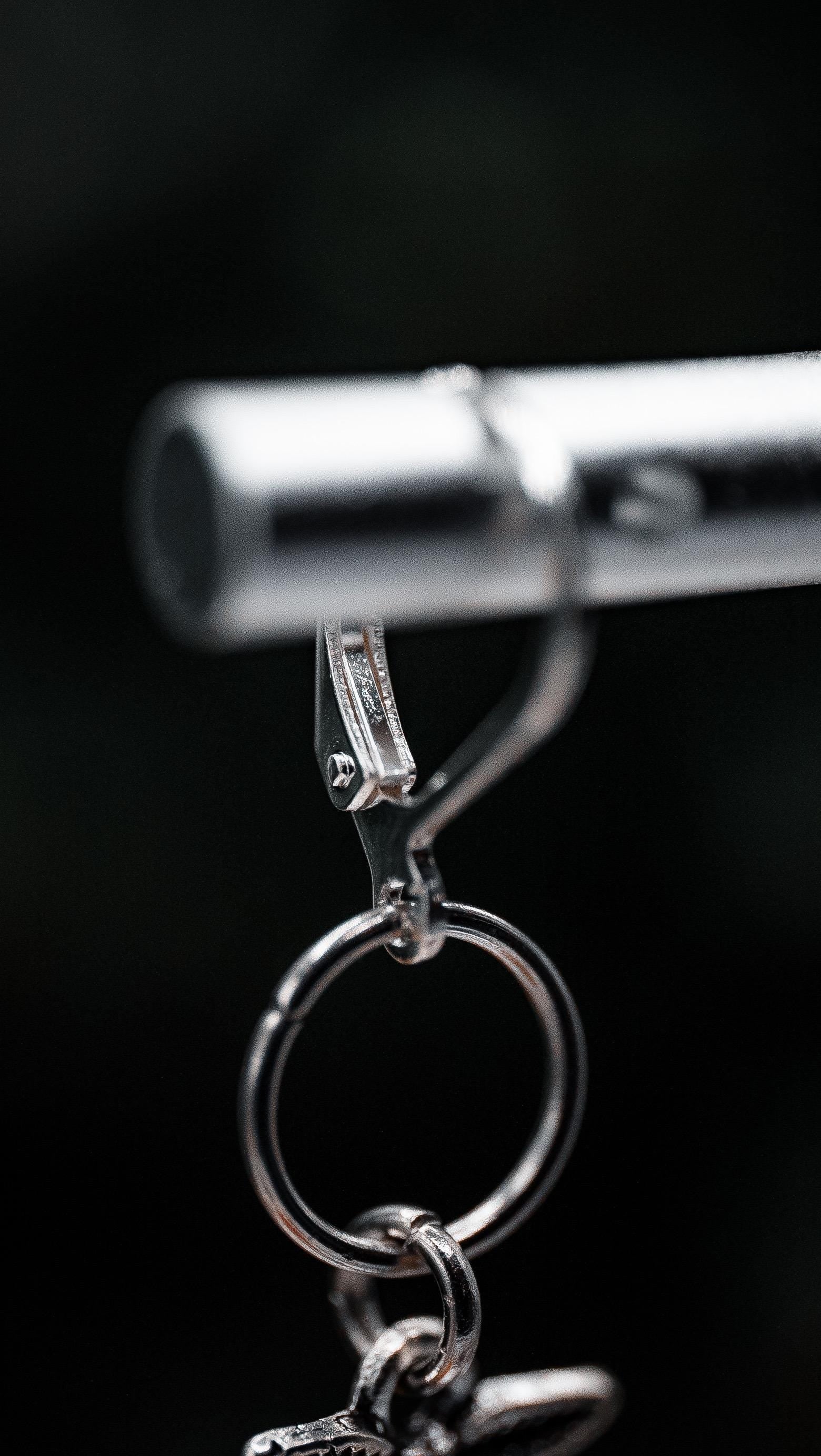 Moon Phases Moth Earrings