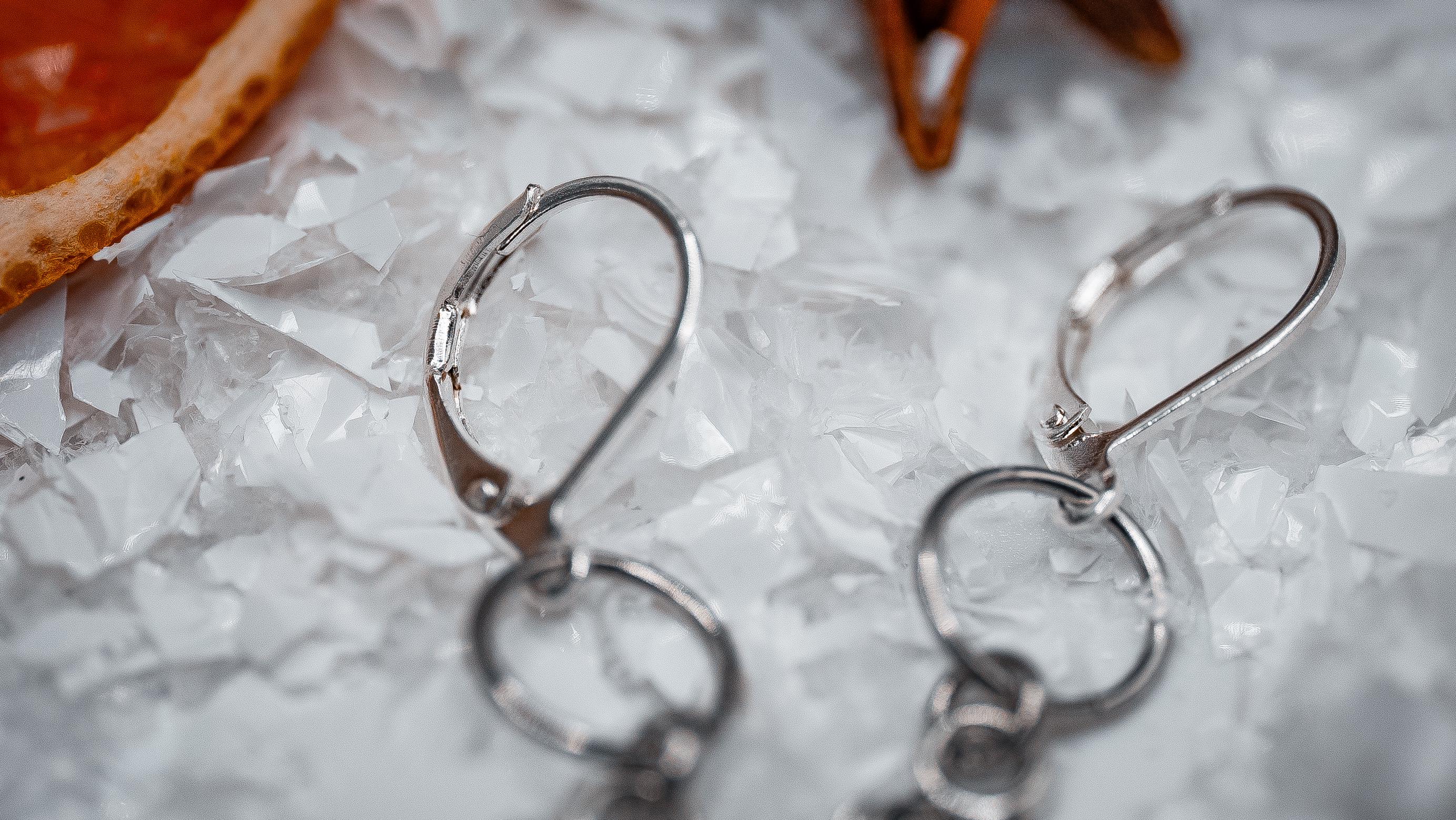 Rose Stem Earrings (Silver)