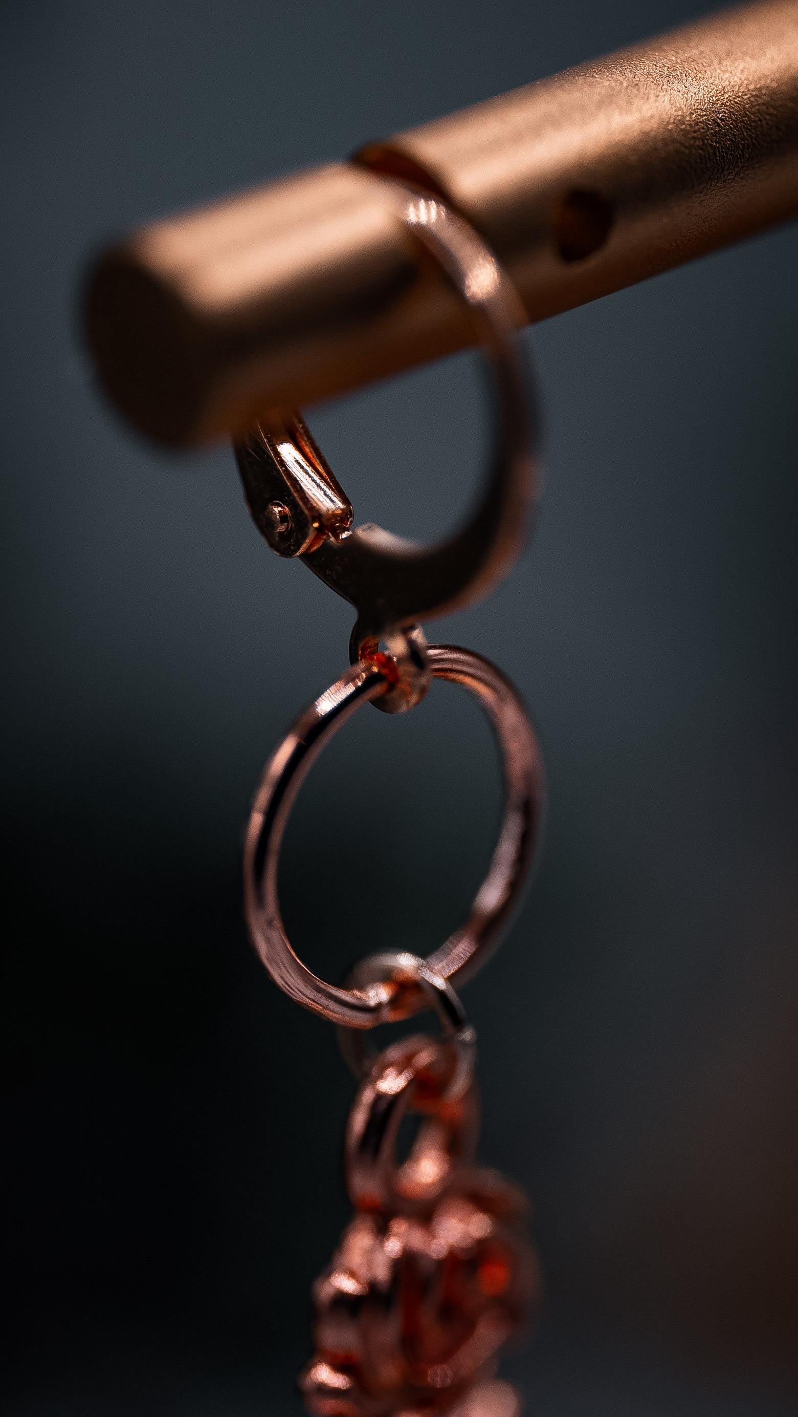 Rose Stem Earrings (Rose Gold)